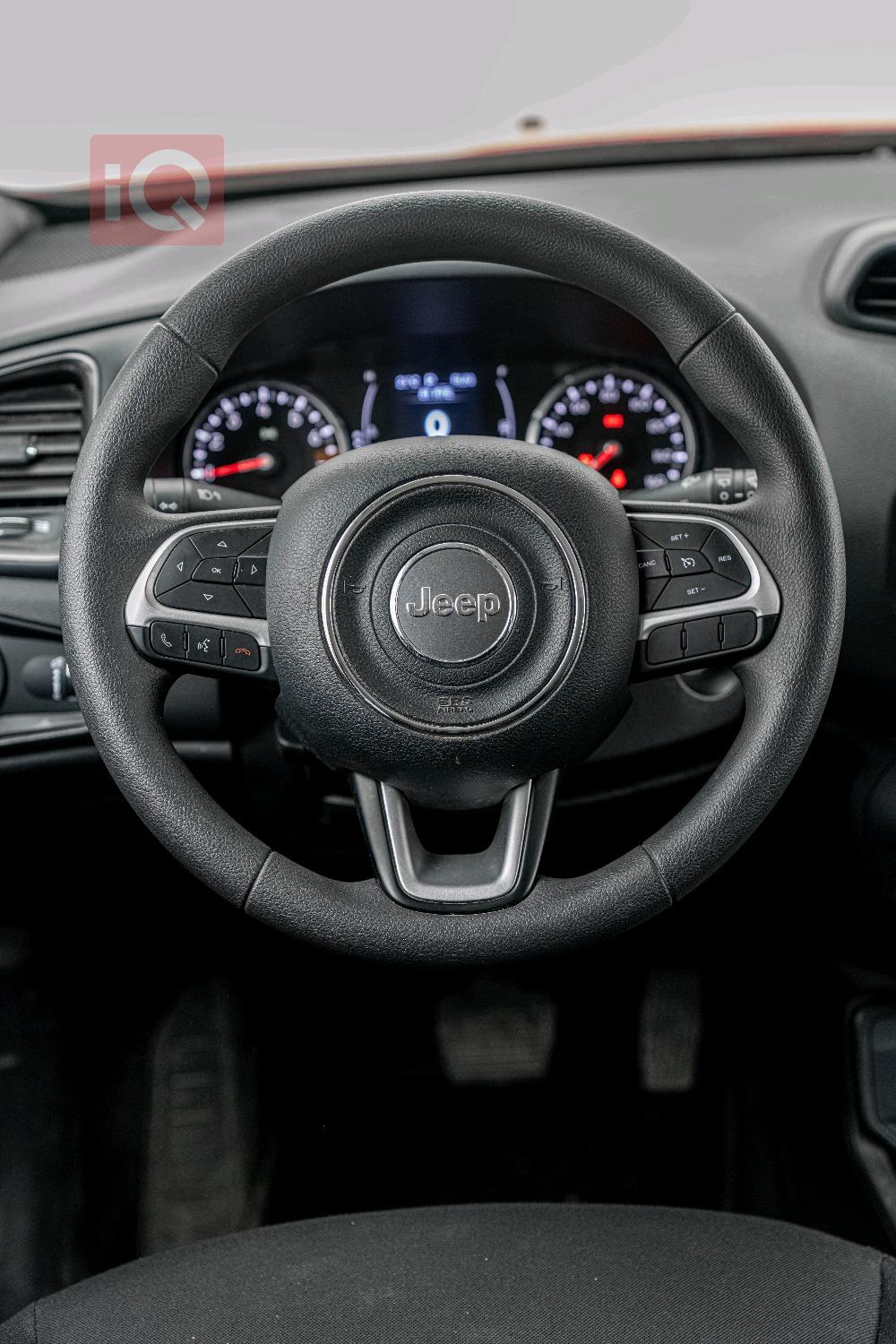 جيب رينيجيد